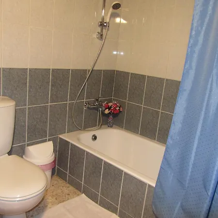 Antonis Apartment *